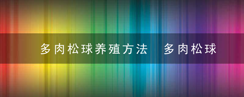 多肉松球养殖方法 多肉松球如何养殖